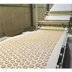 餅幹生產食品輸送帶
